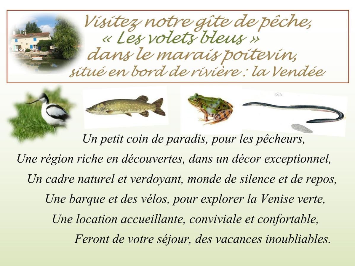 MARAIS POITEVIN pêche ,barque, vélos, wifi, linge, cheminée, cuisine La Taillee Esterno foto